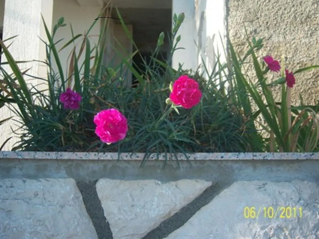 Apartments Marina Lopar