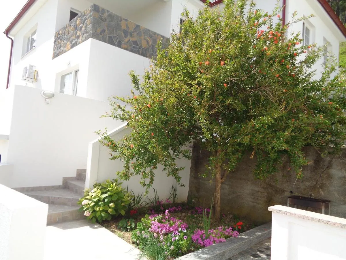 Apartments Marina Lopar