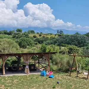 Apartment Zekic, Lopar